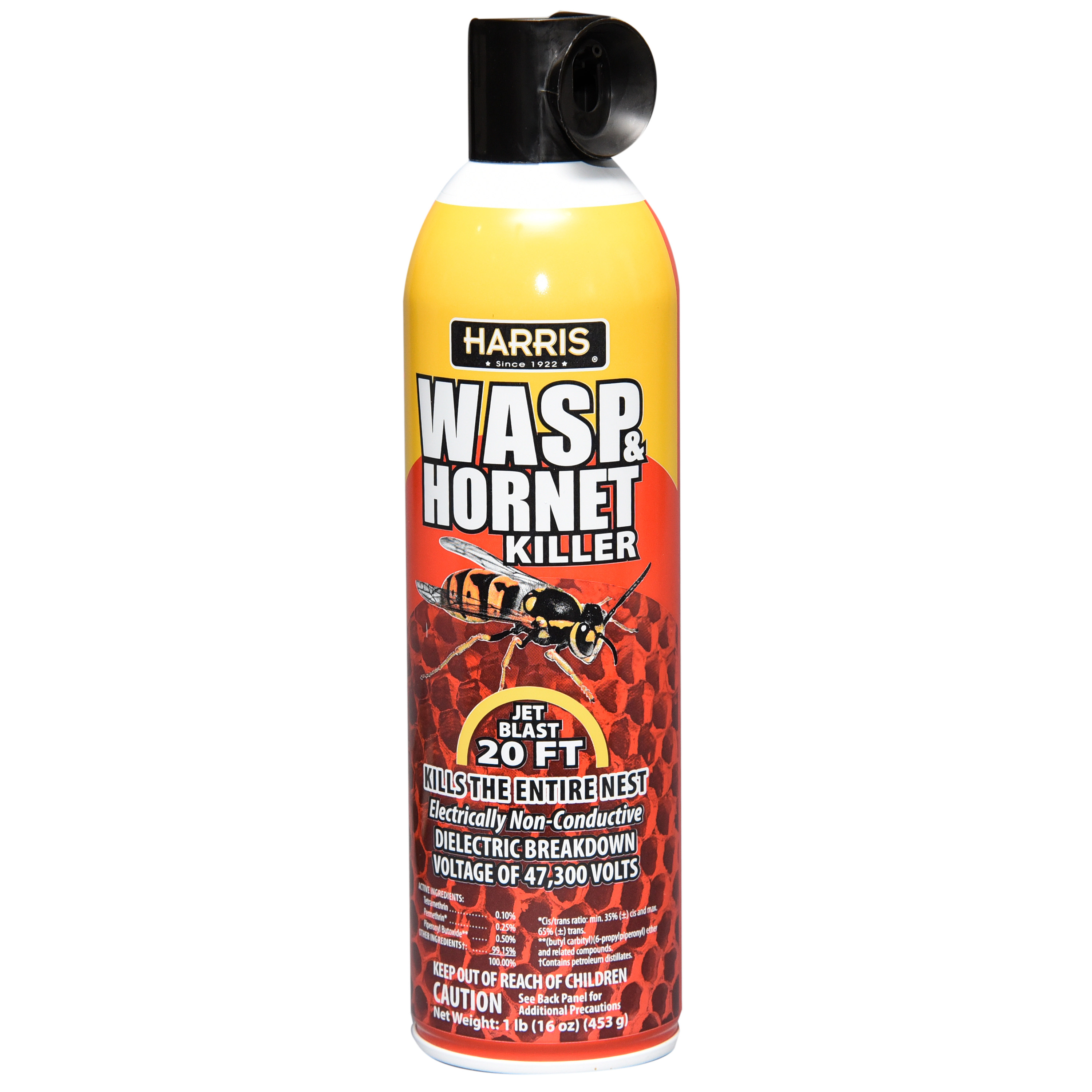 Raid Wasp and Spray 17.5 Ounces Pack of 3