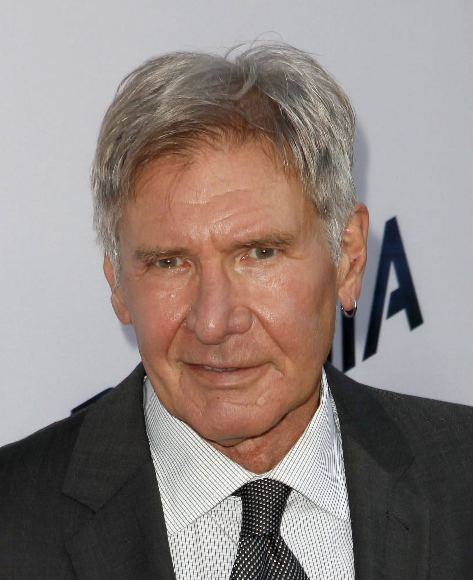 Harrison Ford At Arrivals For Paranoia Premiere Canvas Art - (16 x 20)