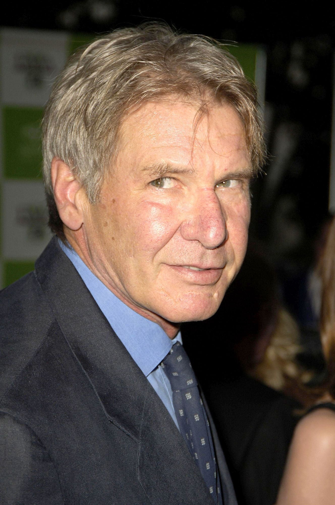 Harrison Ford Canvas Art - (16 x 20)
