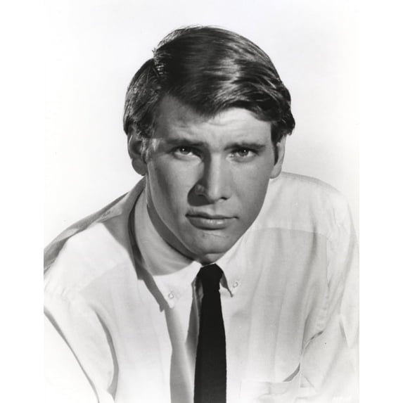 Harrison Ford Photo Print (24 x 30)