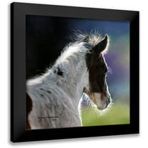 Harrison, Lesley 12x12 Black Modern Framed Museum Art Print Titled - Three Days Old