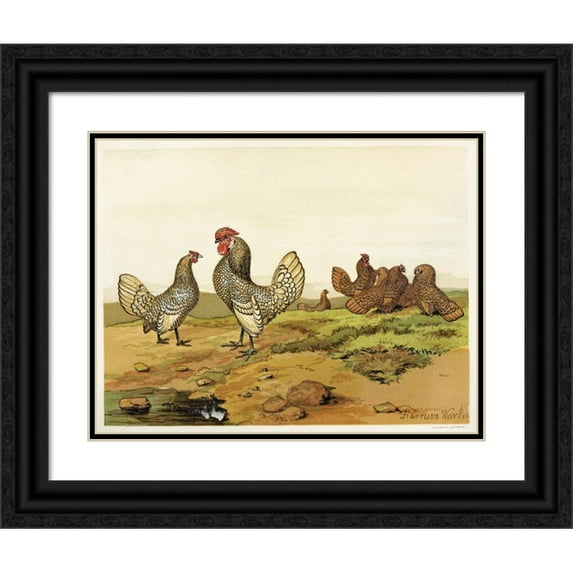 Harrison Weir 14x12 Black Ornate Wood Framed Double Matted Museum Art Print Titled: Gold and Silver-Laced Bantams (1867)