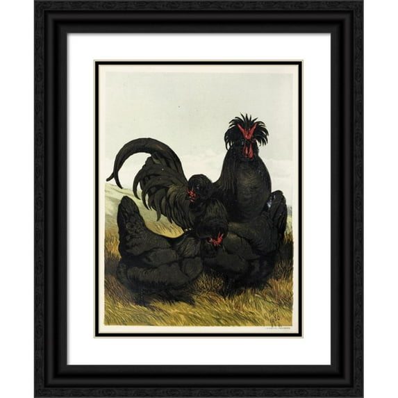 Harrison Weir 19x24 Black Ornate Framed Double Matted Museum Art Print Titled: Creve Cour (1867)