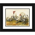 thumbnail image 1 of Harrison Weir 24x18 Black Ornate Framed Double Matted Museum Art Print Titled: Silver Spangled Hamburghs (1867), 1 of 5