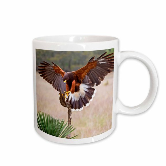 3drose, Harriss Hawk Landing on Perch Limb., 15oz Mug