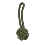 Harry Barker Tug & Toss Large Cotton Rope Pet Toy in Green