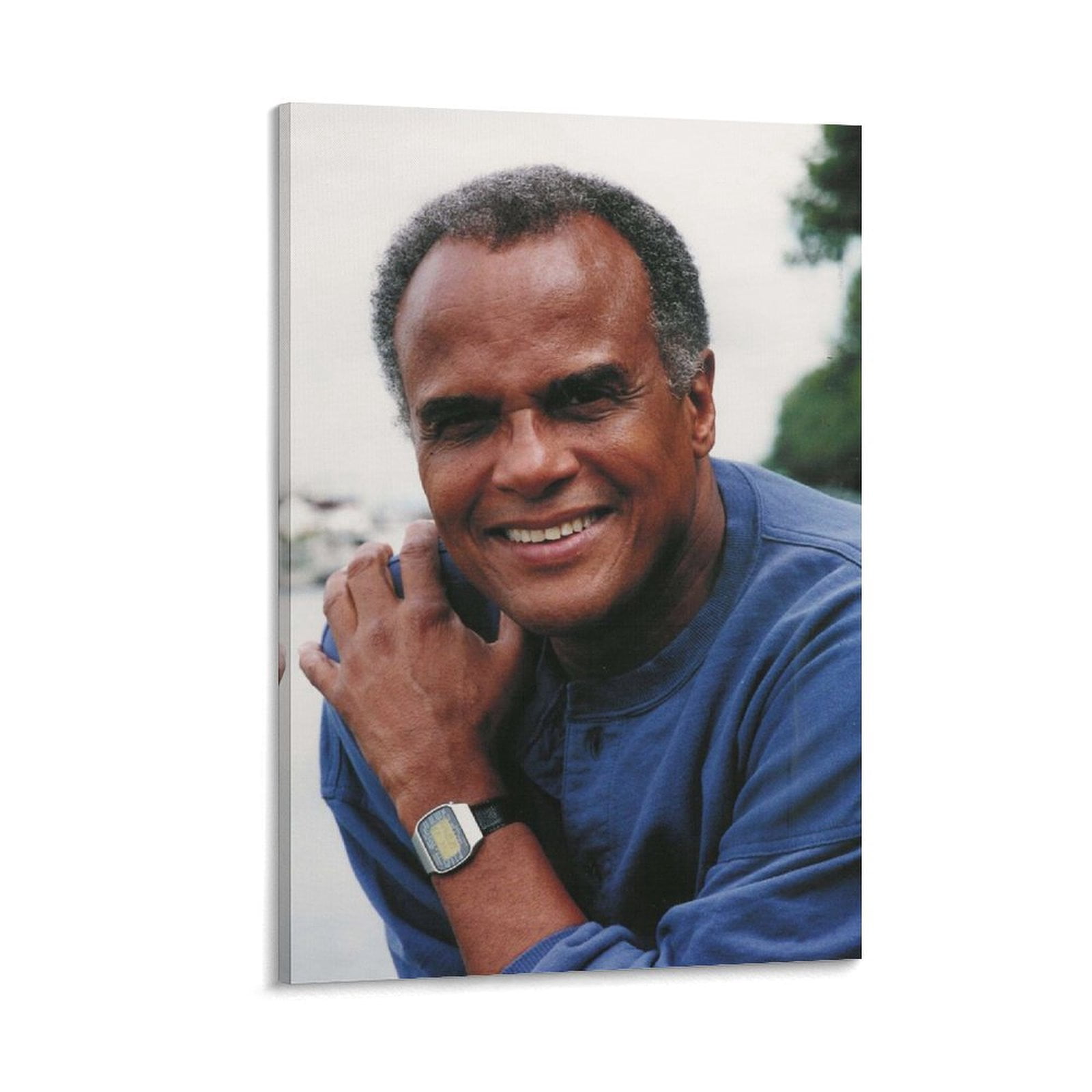 Harry Belafonte Actor Singer Poster Picture Print Canvas Poster Wall ...