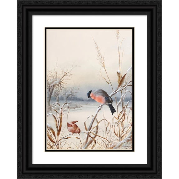 Harry Bright 11x14 Black Ornate Wood Framed Double Matted Museum Art Print Titled: Winter - a Cock Bullfinch and Wren