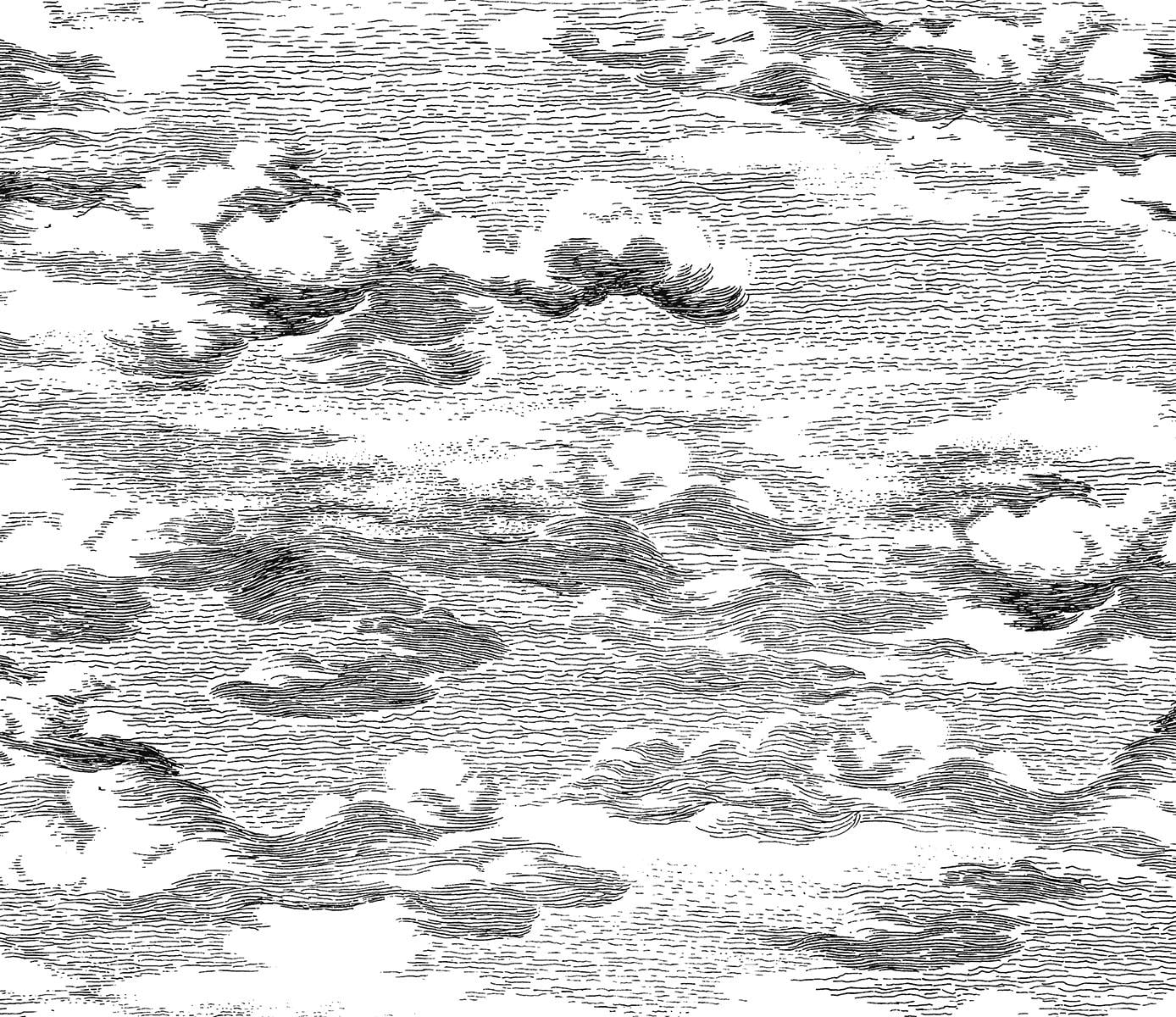 Harry & Grace Black Clouds Peel And Stick Wallpaper - 20.5 ft. W x 18 ft. L Roll