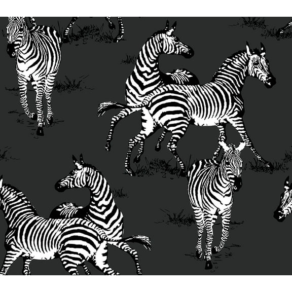 Harry & Grace Charcoal Playful Zebras Peel and Stick Wallpaper