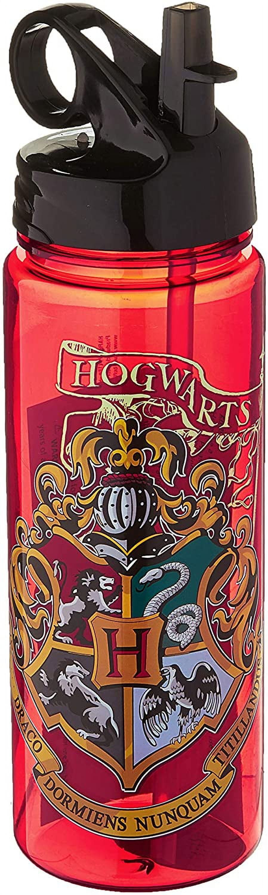 Harry Potter – Hogwarts Stainless Steel Hydro Bottle 530ml – Sunnygeeks