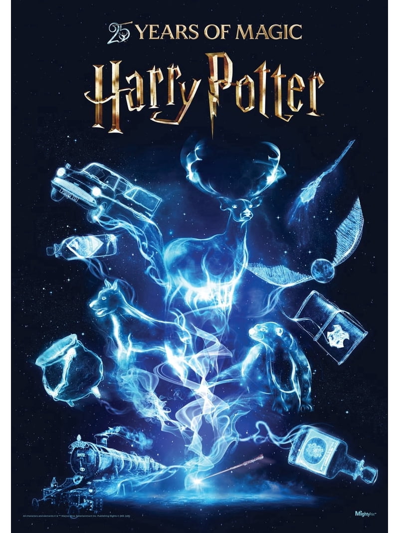 Harry Potter (25 Years of Magic) MightyPrint™ Wall Art MP17241114
