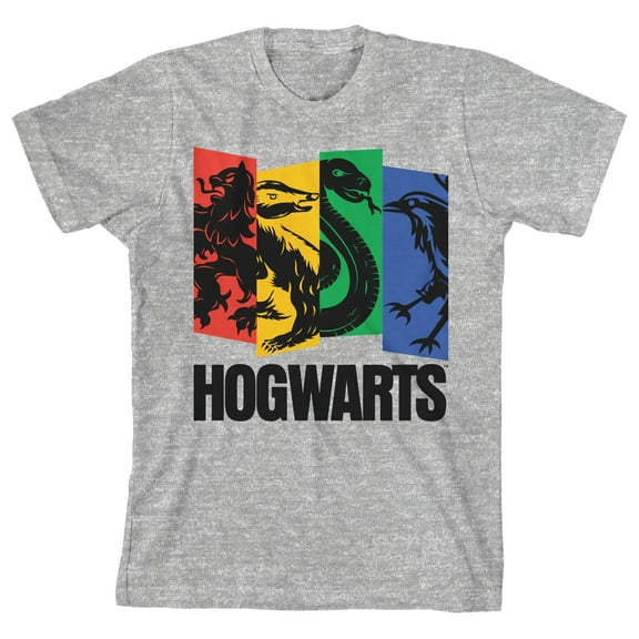 Harry Potter 4 Hogwarts Houses Youth Boys Heather Gray T-Shirt-Medium