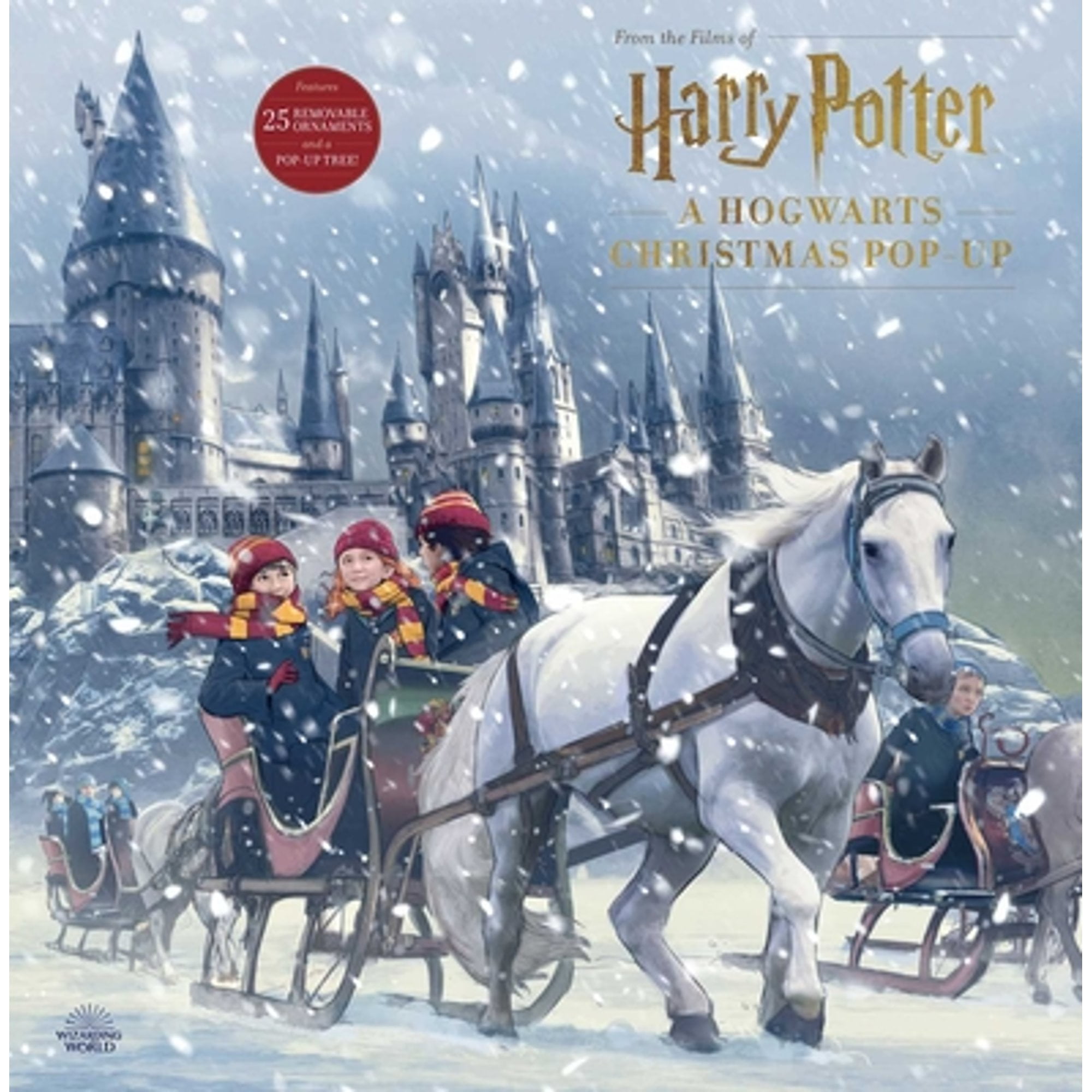 Pre-Owned Harry Potter: a Hogwarts Christmas Pop-Up (Advent Calendar) (Paperback) 9781683839002