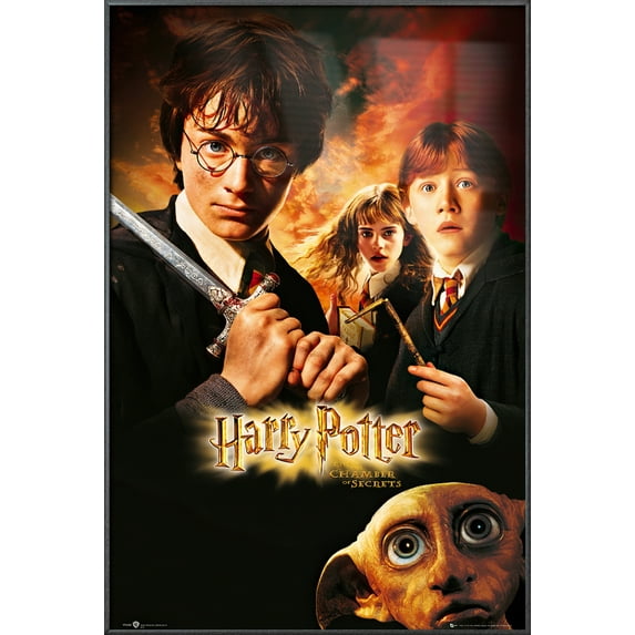 Harry Potter And The Chamber Of Secrets - Framed Movie Poster (Regular Style) (Size: 25" X 37") (Metallic Anthracite Plastic Frame)