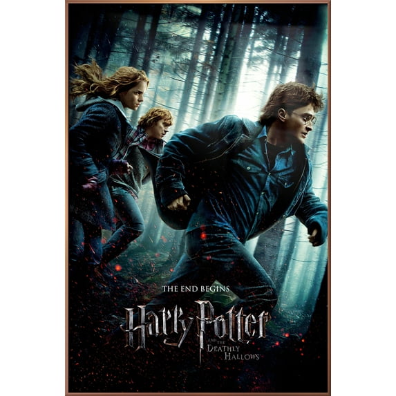 Harry Potter And The Deathly Hallows - Part 1 - Framed Movie Poster (Regular Style) (Size: 25" X 37") (Shiny Copper Aluminum Frame)