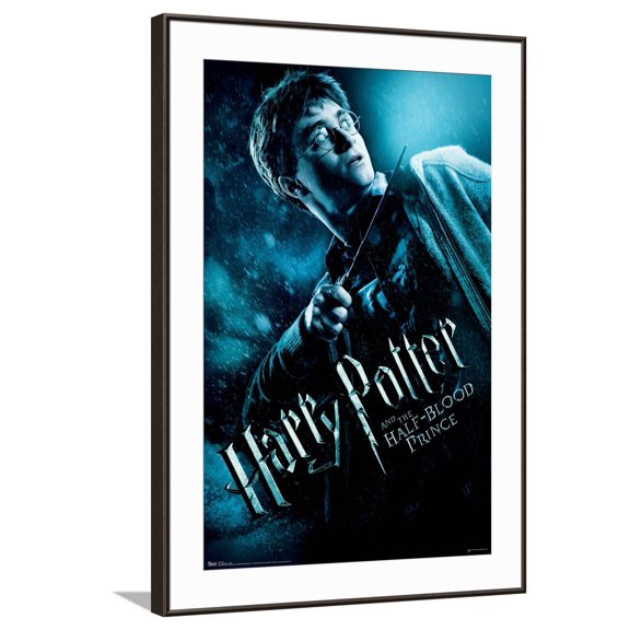 Harry Potter And The Half-Blood Prince-Harry One Sheet Canvas Wall Poster, 22.375" x 34"