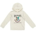 thumbnail image 1 of Harry Potter Big Girls French Terry Hoodie Little Kid to Big, 1 of 5