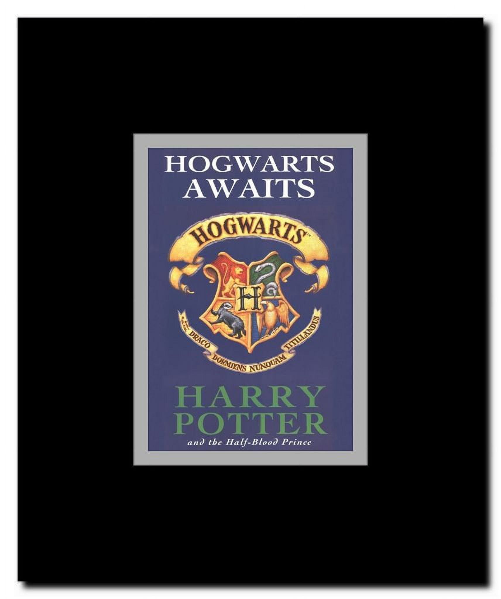 Harry Potter Book Covers Framed Movie Poster