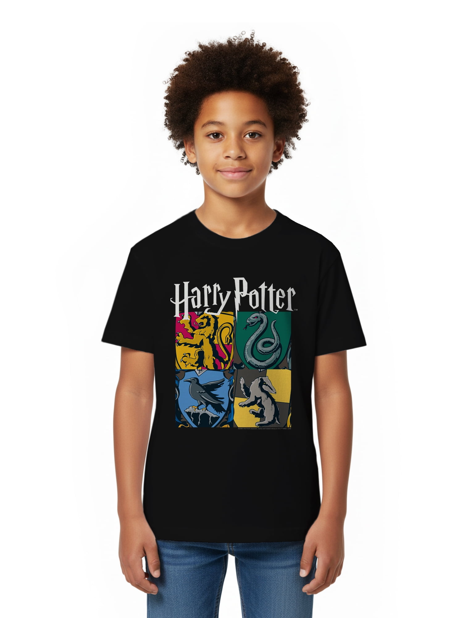 Harry Potter, Boys' & Big Boys' Graphic Tee, All Houses, Sizes 4-18