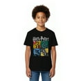 thumbnail image 1 of Harry Potter, Boys' & Big Boys' Graphic Tee, All Houses, Sizes 4-18, 1 of 5