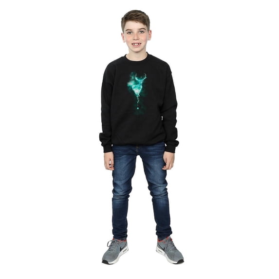 Harry Potter Boys Patronus Mist Stag Sweatshirt