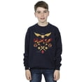 thumbnail image 1 of Harry Potter Boys Quidditch Golden Snitch Sweatshirt, 1 of 3