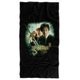 thumbnail image 1 of Harry Potter Chamber of Secrets Poster Officially Licensed Beach Towel 30' X 60', 1 of 6