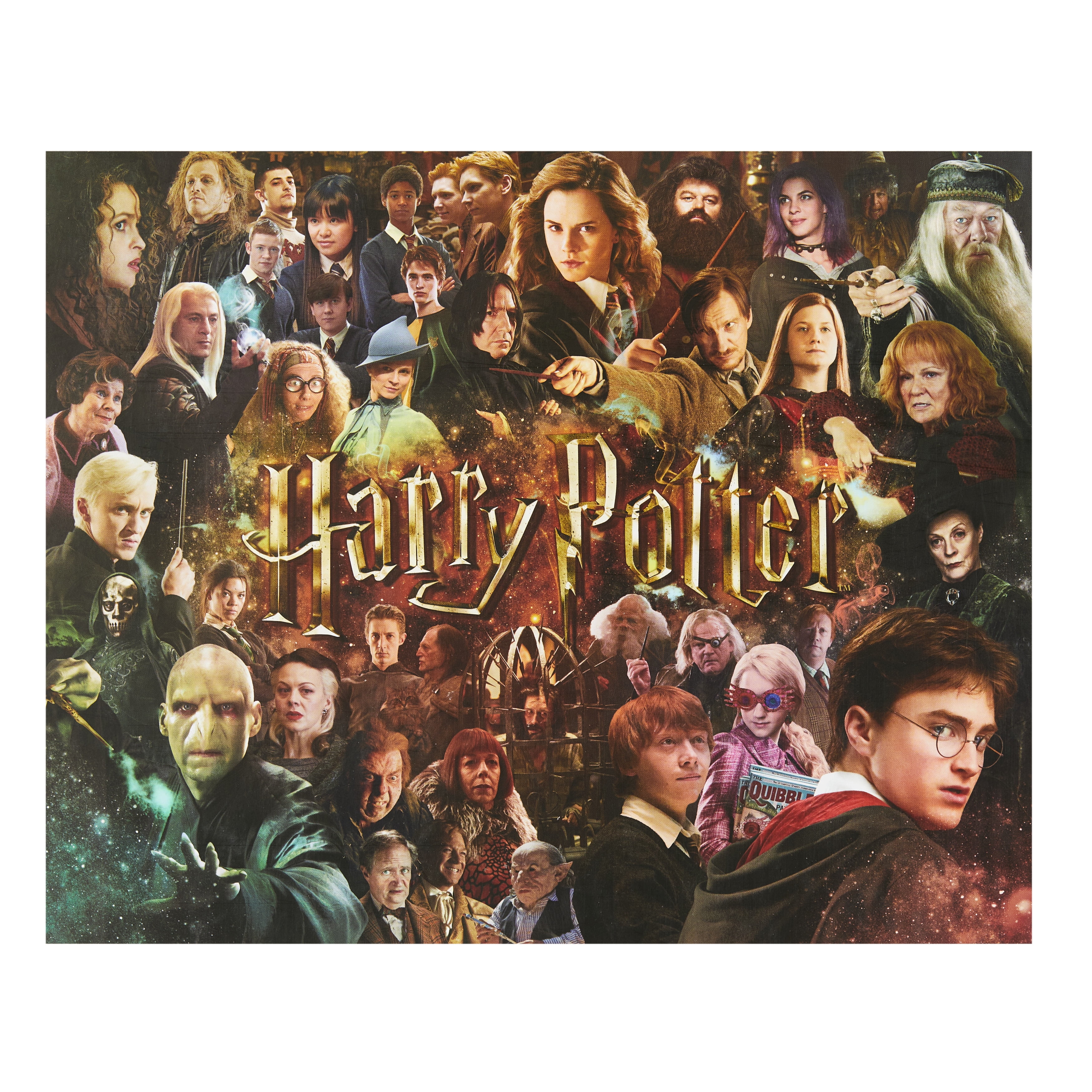 Harry Potter Jigsaw Puzzle 1000 Pieces All Characters Cylinder Container New