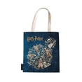 thumbnail image 1 of Harry Potter Collection Legends of Hogwarts Tote Canvas Bag by Paperblanks (Harry Potter Collection), (Hardcover), 1 of 1