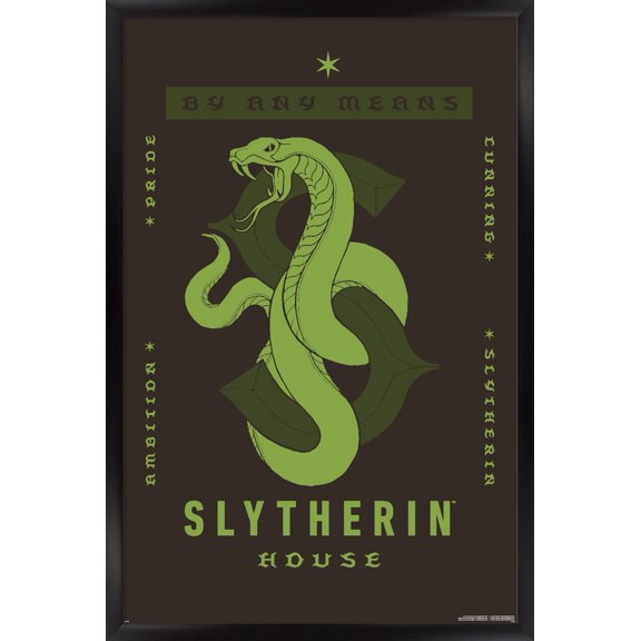 Harry Potter: Darker Arts - Slytherin House Wall Poster, 14.725" x 22.375" Framed
