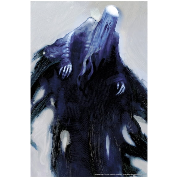 Harry Potter Death Eater Window Cover