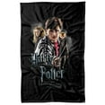 thumbnail image 1 of Harry Potter Deathly Hollows Cast Fleece Blanket 36' x 58',Deathly Hollows Cast, 1 of 3