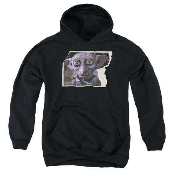 Harry Potter Dobby Worn Photo Kids Pull-Over Hoodie (Medium) for Youth Boys and Girls, Black