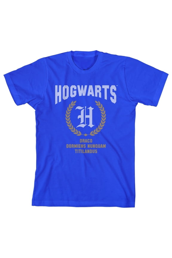 Harry Potter Draco Dormiens Nunquam Titilandus Youth Royal Blue T-shirt