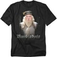 thumbnail image 1 of Harry Potter T-Shirt Dumble Doors Unisex Graphic Tee For Men & Women, 1 of 7