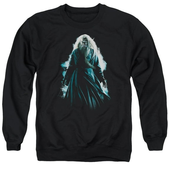 Harry Potter - Dumbledore Burst - Crewneck Sweatshirt - Small