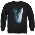 thumbnail image 1 of Harry Potter - Dumbledore Face - Crewneck Sweatshirt - Large, 1 of 2