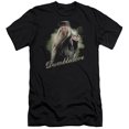 thumbnail image 1 of Harry Potter Dumbledore Wand S/S Adult 30/1 T-Shirt Black, 1 of 2