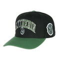 thumbnail image 1 of Harry Potter Embroidered House Crest Animal Adjustable Snapback Hat Cap - 4 Different Styles, 1 of 6