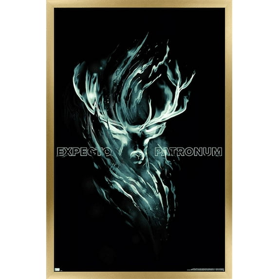 Harry Potter - Expecto Patronum Magic Wall Poster, 14.725" x 22.375", Framed