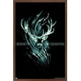 thumbnail image 1 of Harry Potter - Expecto Patronum Magic Wall Poster, 14.725" x 22.375", Framed, 1 of 3