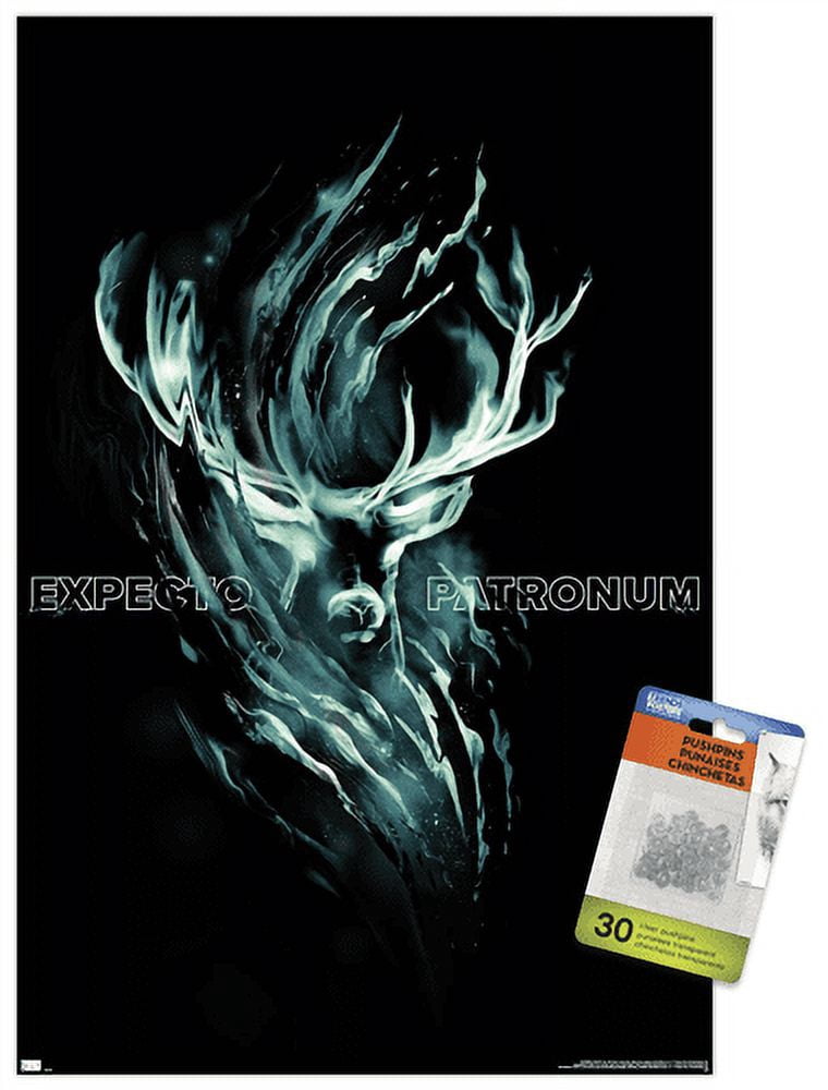 Harry Potter - Expecto Patronum Magic Wall Poster with Pushpins, 14.725" x 22.375"