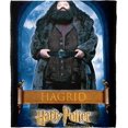 Harry Potter Flannel Touch Throw Blanket, 50 "x 40"