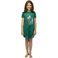 thumbnail image 1 of Harry Potter Girls' Foil Print Hogwarts House Crest Nightgown Lounge Pajama - Ravenclaw Hufflepuff Gryffindor Slytherin, 1 of 5