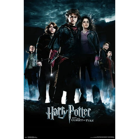 Harry Potter - Goblet Group Poster Print (22 x 34)
