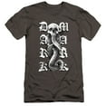 thumbnail image 1 of Harry Potter Gothic Dark Mark Unisex Adult Canvas Brand T Shirt, Charcoal, Large, 1 of 3