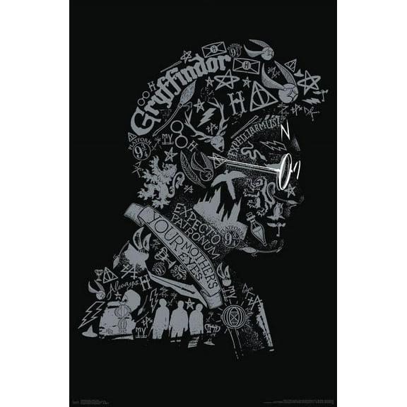 Harry Potter - Graphic Potter Poster Print (22 x 34)