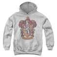 thumbnail image 1 of Harry Potter Gryffindor 1 Kids Pull-Over Hoodie (X-Large) for Youth Boys and Girls, Athletic Heather, 1 of 5