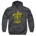 thumbnail image 1 of Harry Potter - Gryffindor Crest - Youth Hooded Sweatshirt - X-Large, 1 of 2
